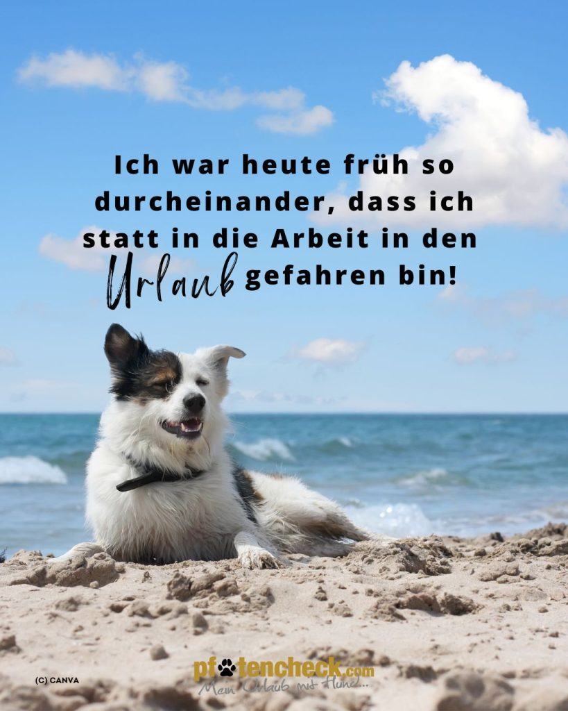 Spruch - ich war heute so durcheinander...