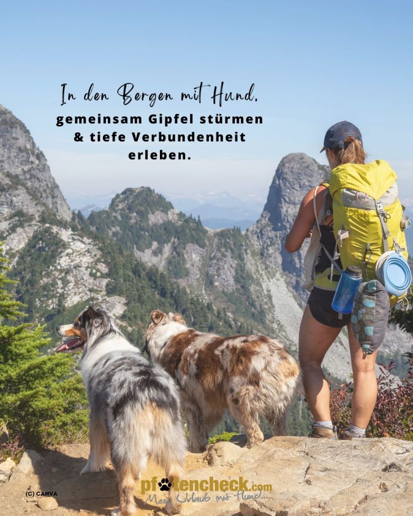 Spruch - in den Bergen mit Hund