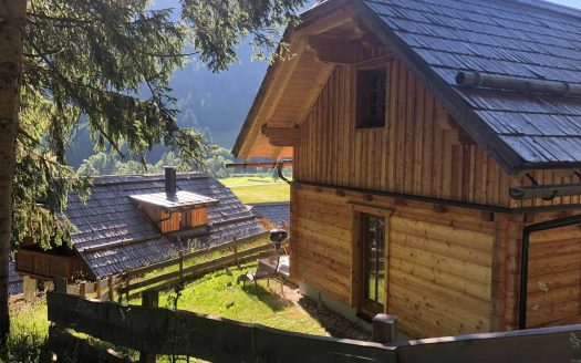 Bergdorf Riesner, Österreichurlaub mit Hund, Hütte, Berge, Wiesen, Sommer