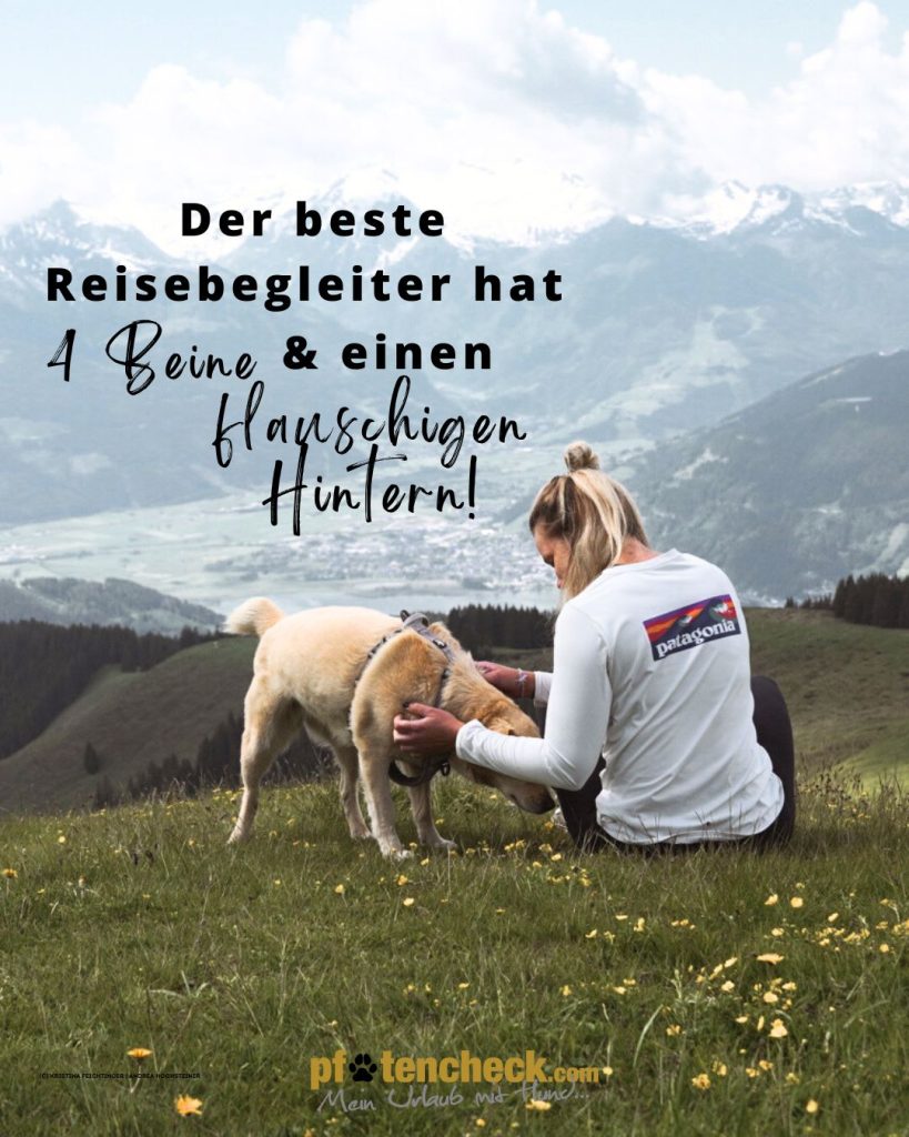 Spruch - Der beste Reisebegleiter