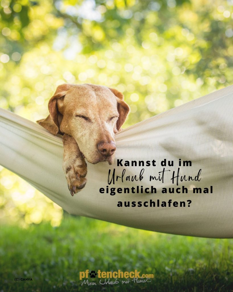 Frage im Urlaub mit Hund ausschlafen