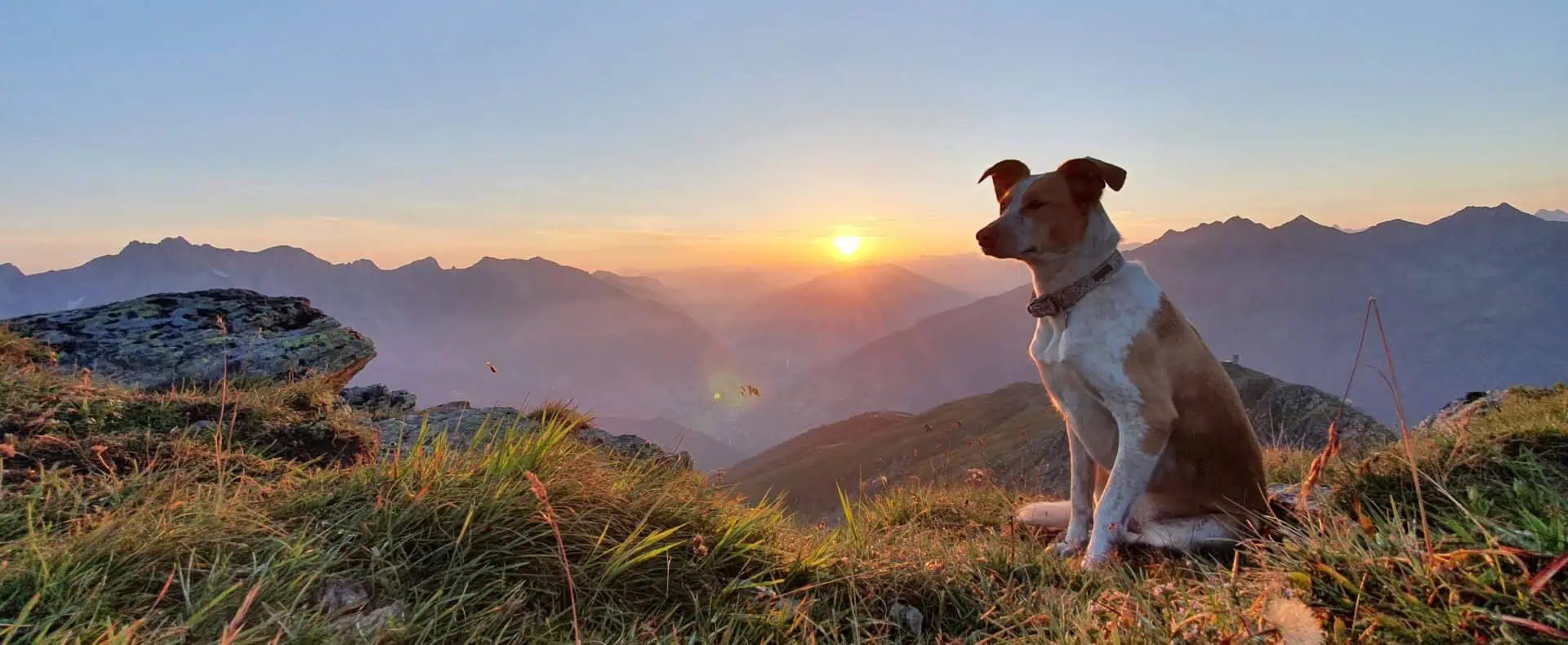 Urlaub mit Hund im Hotel Fliana in Tirol / zertifiziert hundefreundliches Hotel in Tirol, Österreich / Hotel Fliana für den Urlaub mit Hund