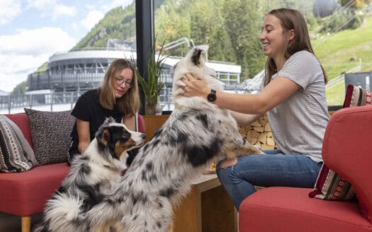 Hotel Fliana – Pfotencheck – Mein Urlaub mit Hund