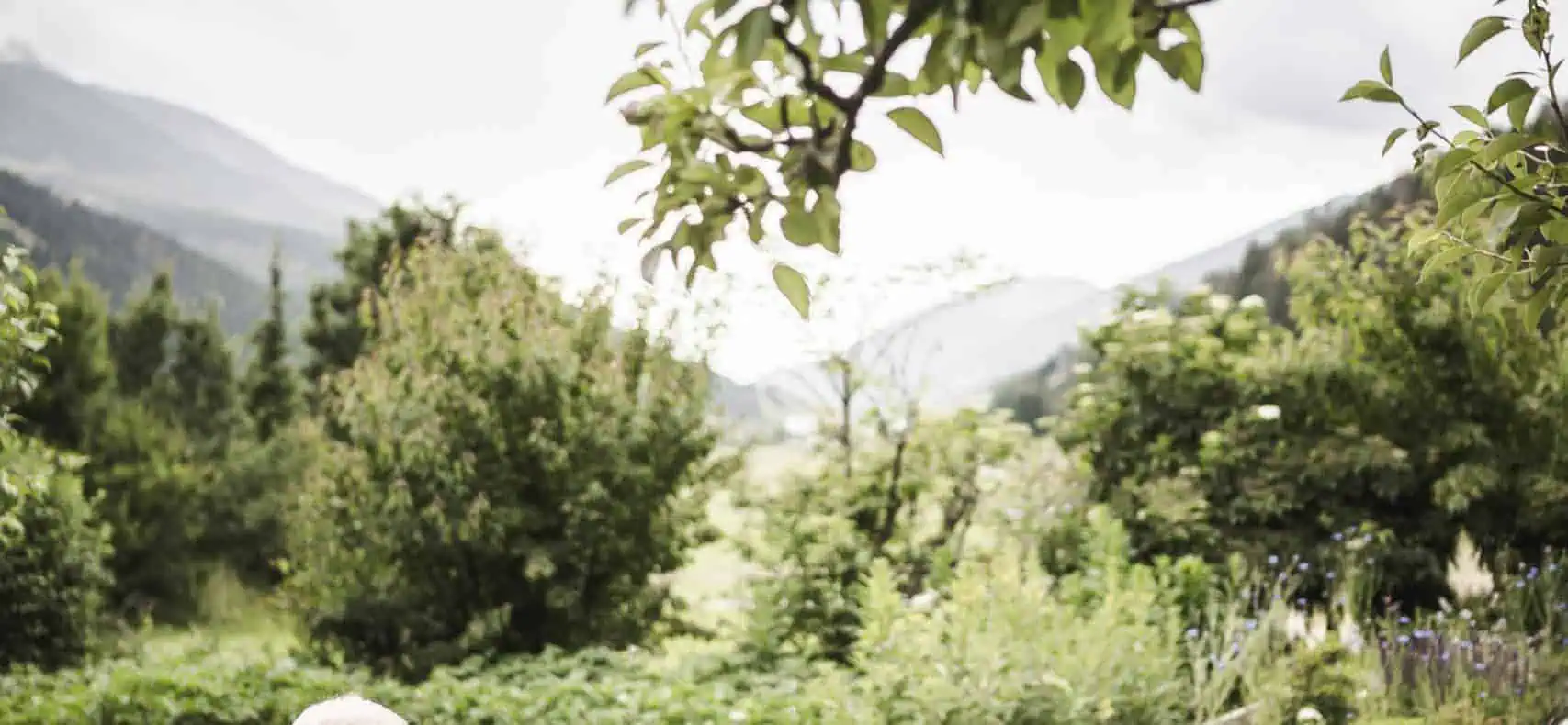 Hotel Strasserwirt für den Urlaub mit Hund in Osttirol / zertifiziert hundefreundliches Hotel / Garten mit Terrasse