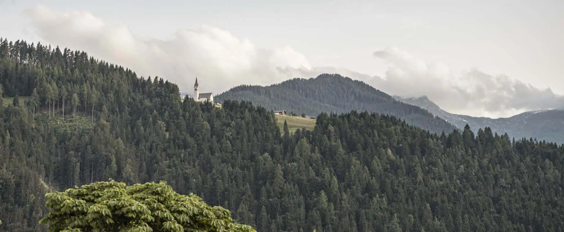 Hotel Strasserwirt für den Urlaub mit Hund in Osttirol / zertifiziert hundefreundliches Hotel / Umgebung
