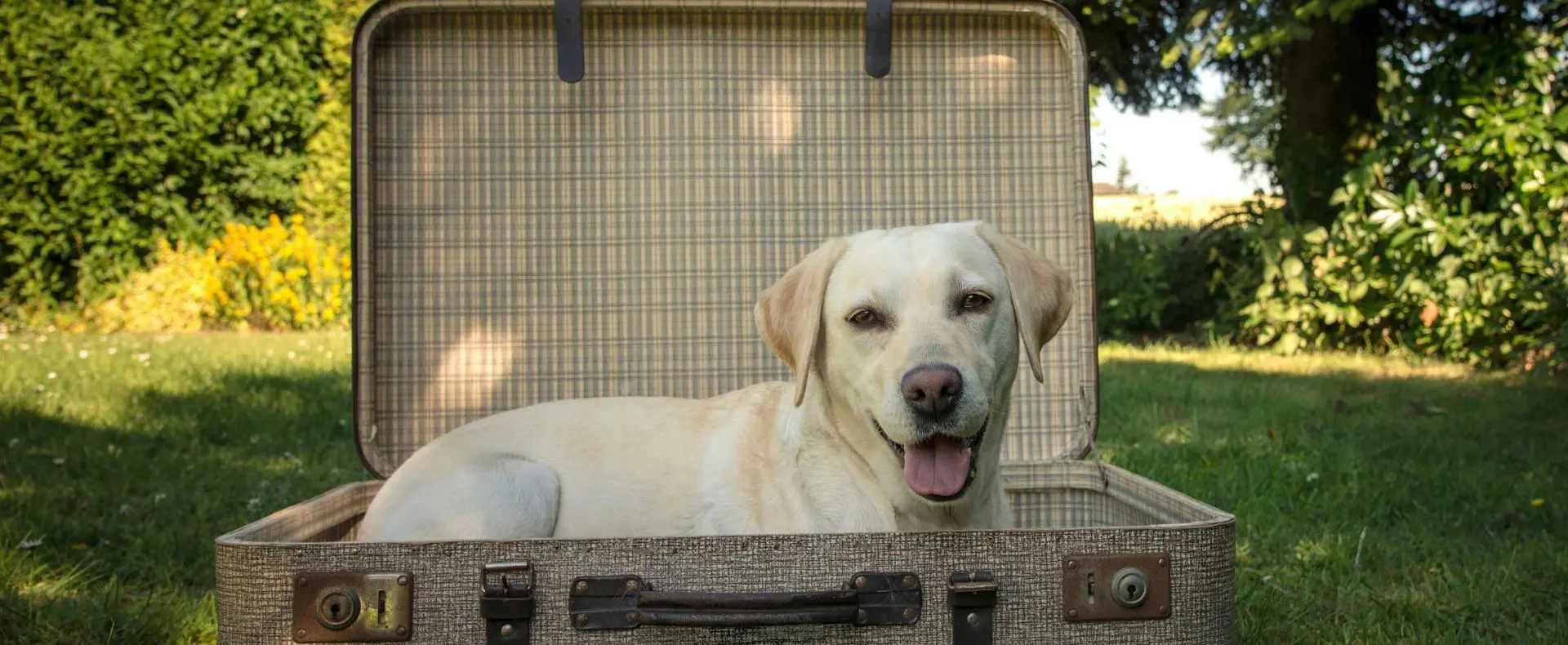 Reisen mit Hund, Österreichurlaub mit Hund