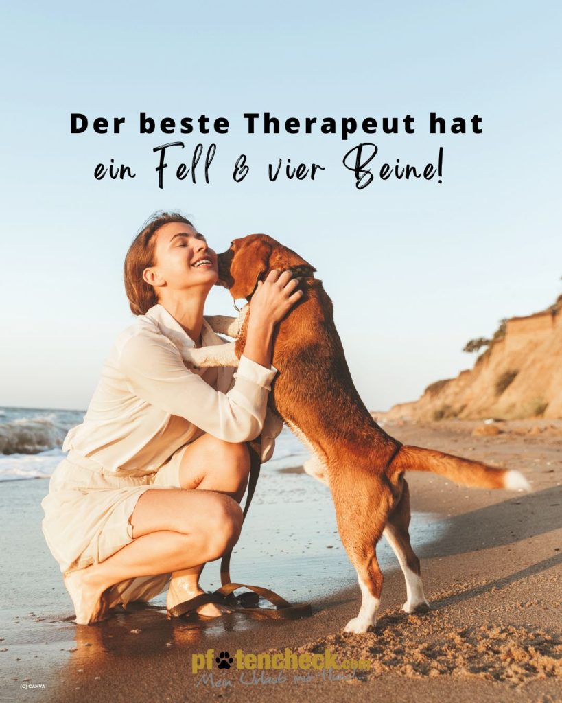 Hundesprüche - der beste Therapeut ist der Hund