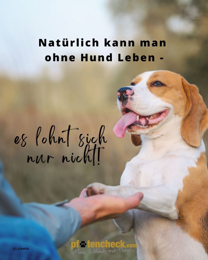 Der Spruch - natürlich kann man ohne Hund leben, es lohnt sich nur nicht,