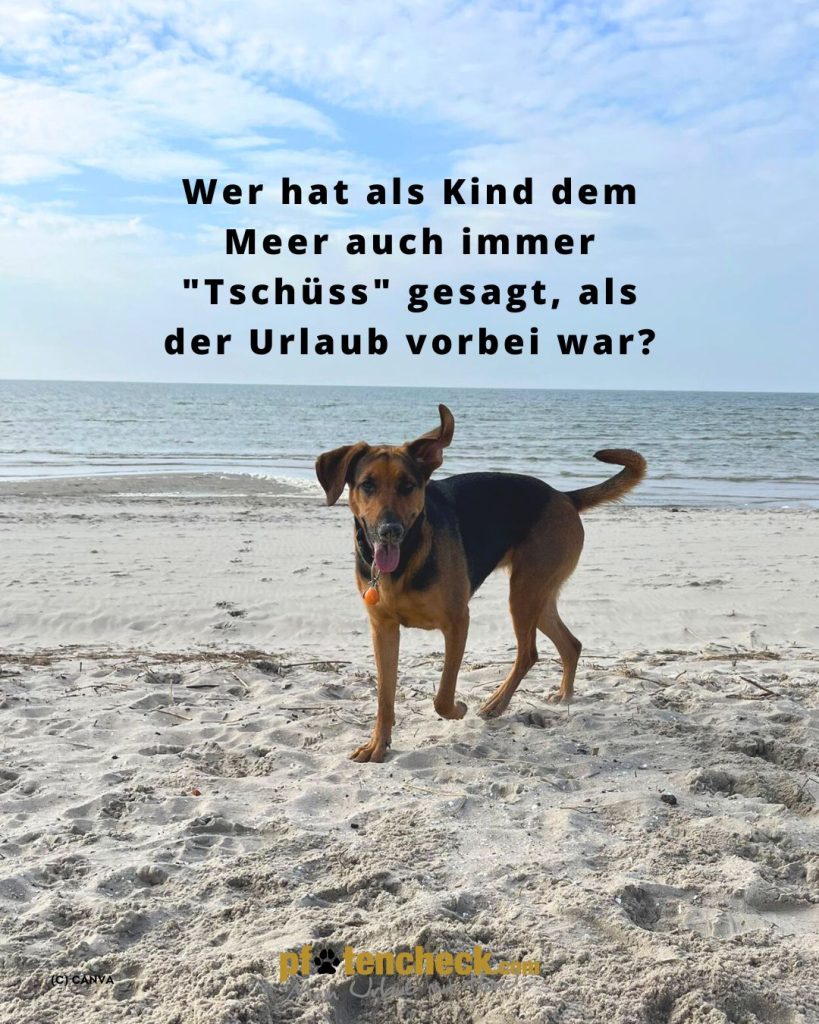 Spruch Meer Tschüss