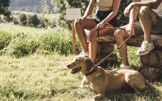 Angebot: Wau.Zeit im Sommer – Urlaub mit Hund im Ötztal