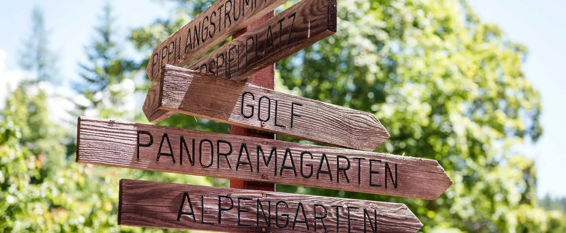 Urlaub mit Hund, wandern, Angebot