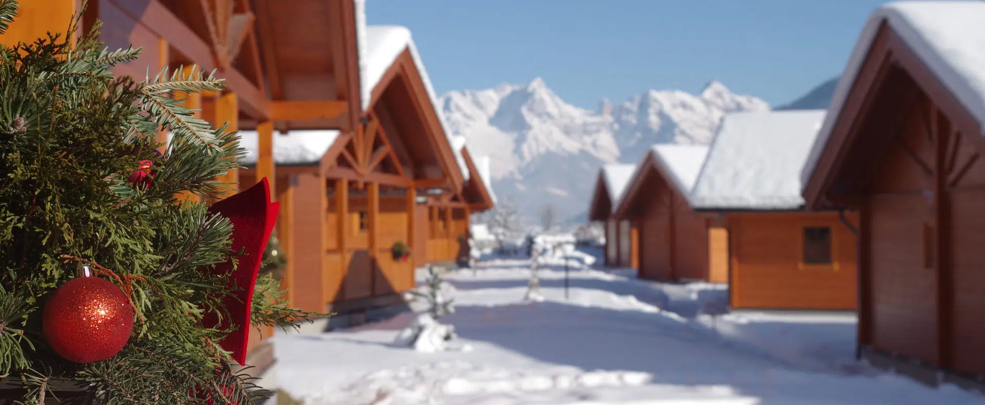 Feriendorf Oberreit Winter mit Schnee, Pfotencheck