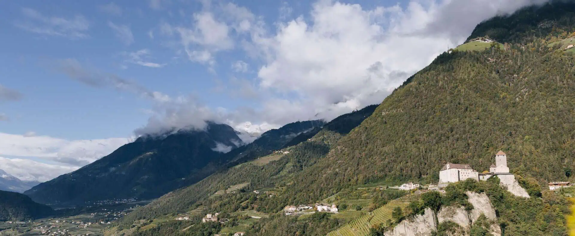 Ausblick in die Natur vom Hunde Hotel Mair am Ort. (c) Benjamin Pfitscher