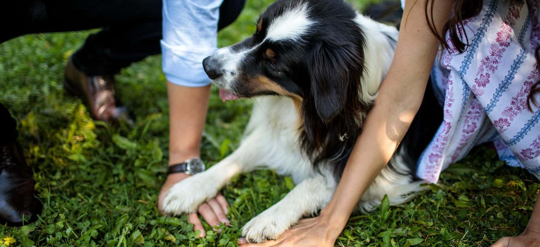 Wanderurlaub in Österreich, Wanderhotel Vinschgerhof, Garten, Training, hundefreundlich