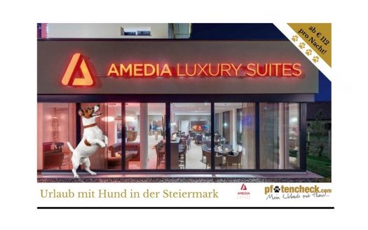 Hunde-Package 2022, Amedia Luxury Suites