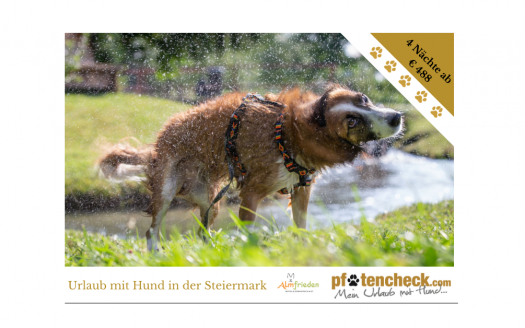 Hundstage im Sommer, Urlaub mit Hund im Hotel Almfrieden