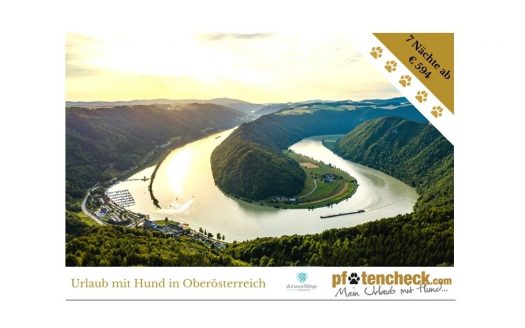 Riverresort Donauschlinge, 7 Nächte genießen - nur 6 bezahlen. /Foto: (c) WGD Donau OÖ Tourismus GmbH, Kaindlstorfer