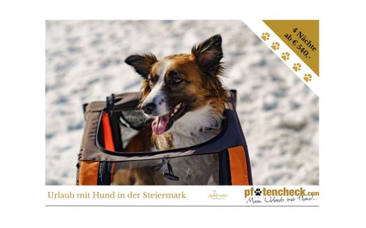 Hundstage im Winter, Almfrieden Hotel & Romantikchalet Angebot Pfotencheck