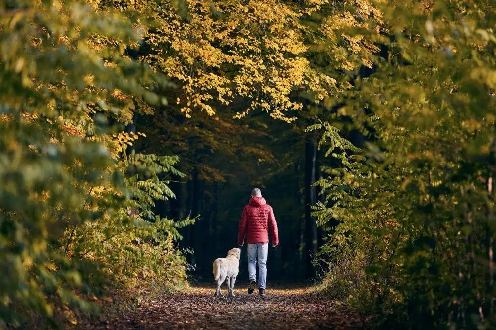 Mann mit Hund im Park