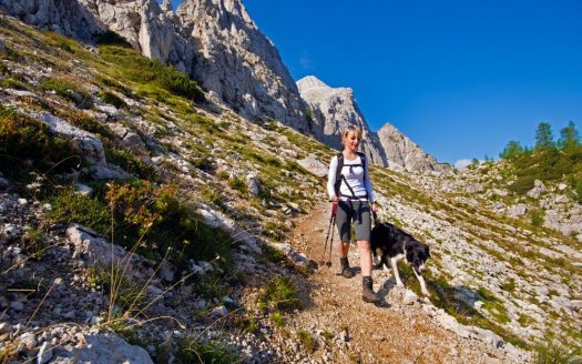 Frau wandert mit ihrem Hund in den Bergen. der Hund ist an der Leine
