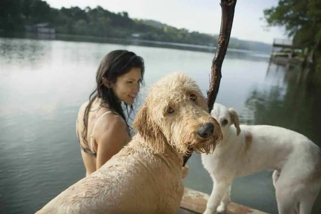 Eine Frau sitzt am Steg eines Sees mit ihren zwei Hunden