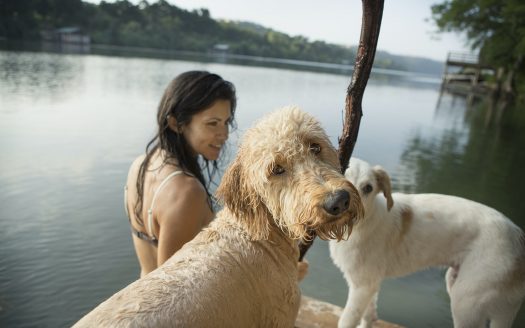 Eine Frau sitzt am Steg eines Sees mit ihren zwei Hunden