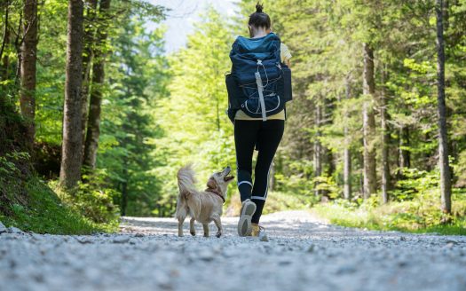 Urlaub mit Hund im Zillertal: Frau mir Rucksack die neben ihrem Hund geht auf einem Wanderweg