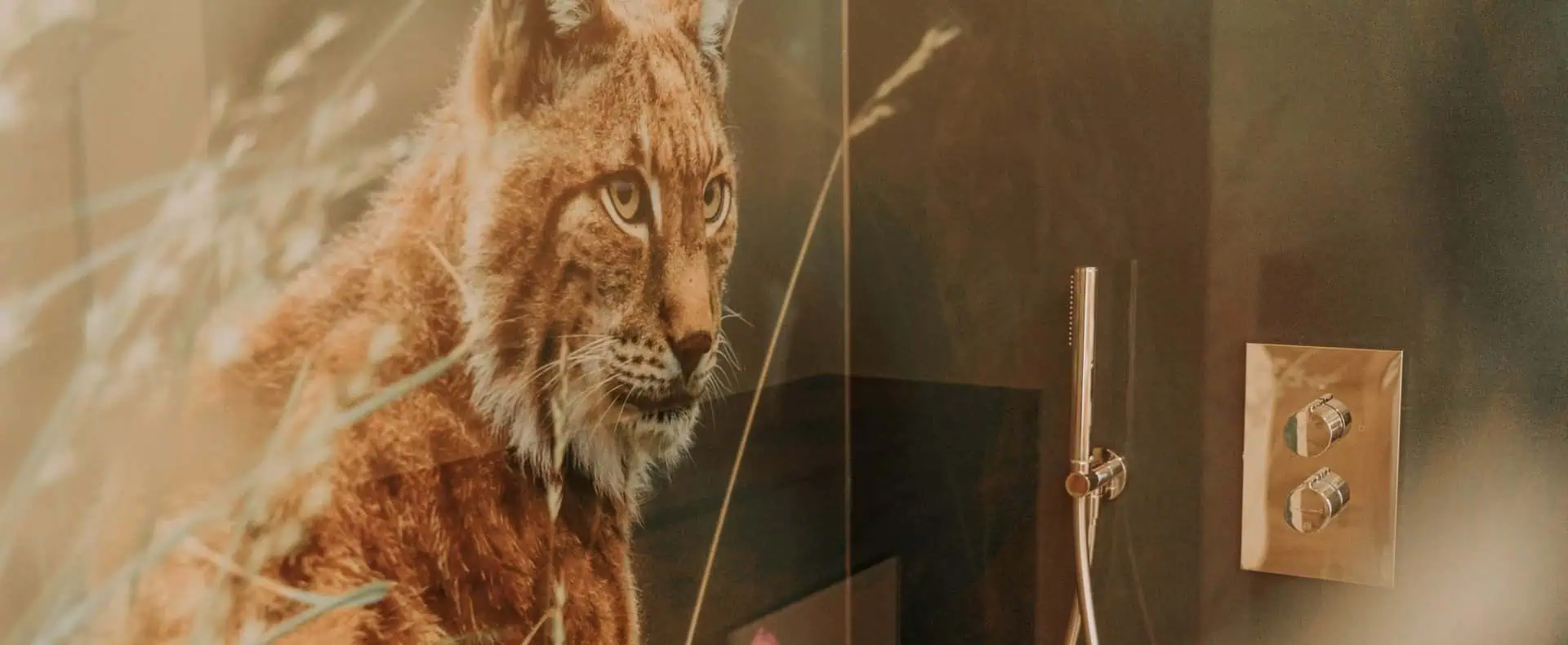 Luchs Wandbild, Waidlerland Ferienpark