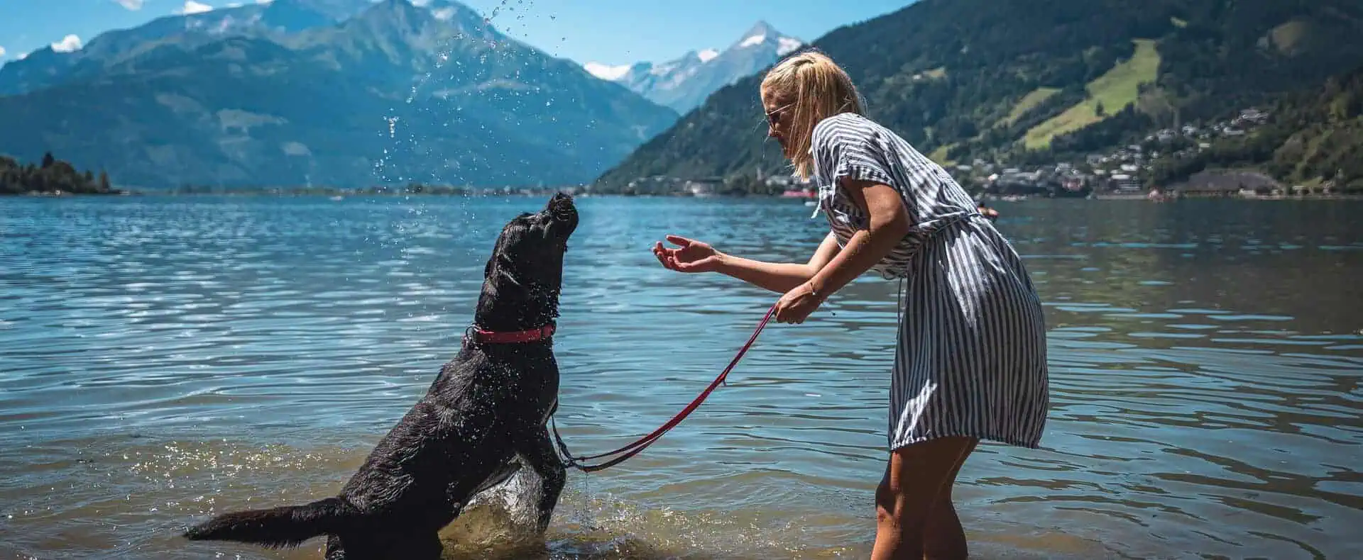 Urlaub mit Hund, Frau spielt mit Hund im Wasser. (c) Zell am See Kaprun