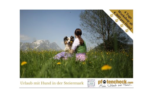 Tellington TTouch im Narzissendorf Zloam in der Steiermark. 4 Tage Workshop für € 300 pro Hund.