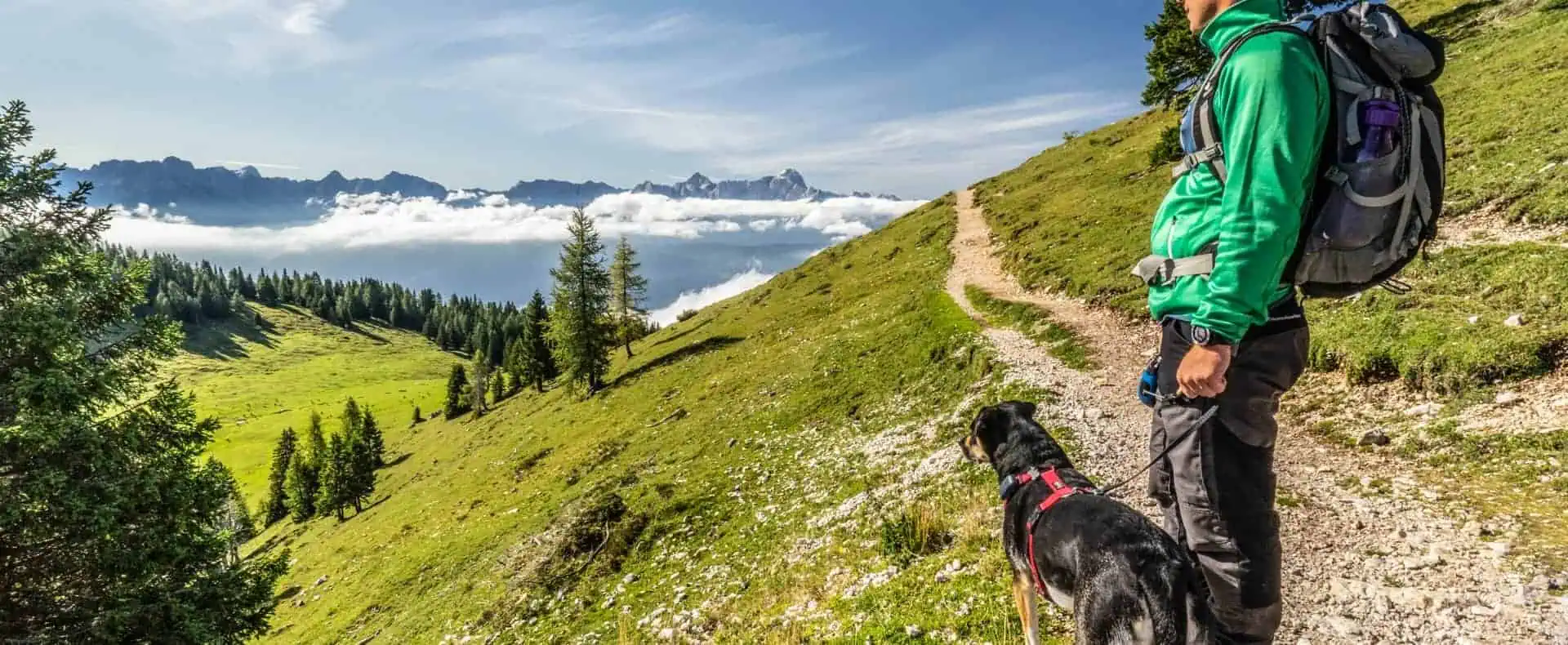 Wandern mit Hund beim Hoteldorf Schönleitn. (c)Carolin Thiersch