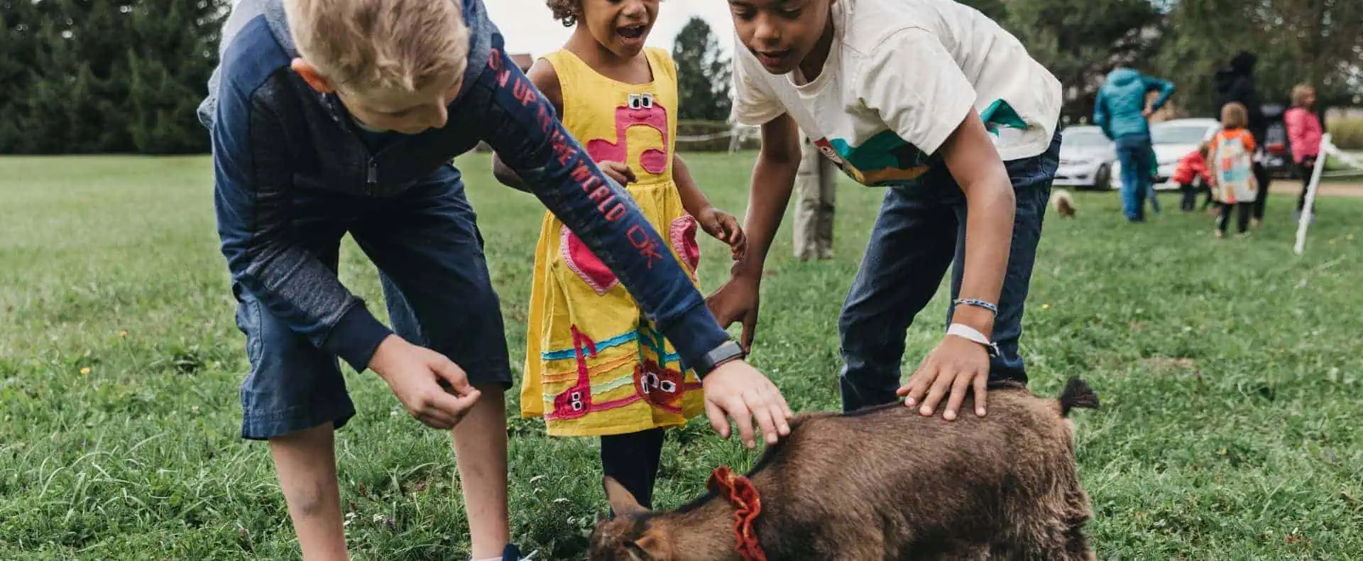 Kinder können hier auch Tiere streicheln! (c)Heldentheater