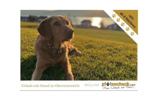 Angebot für den Urlaub mit Hund in Österreich / Urlaubsangebot im hundefreundlichen Hotel Orange Lounge in Österreich / Urlaubsangebot -10% für den Frühlingsurlaub mit Hund