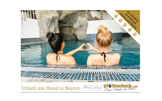 Sommerurlaub mit Hund in Bayern? Angebot des Hotels Wutzschleife für den perfekten Urlaub mit Hund / zertifiziert hundefreundliches Hotel / Tennis-, Golf- oder Wellness-Urlaub mit Hund