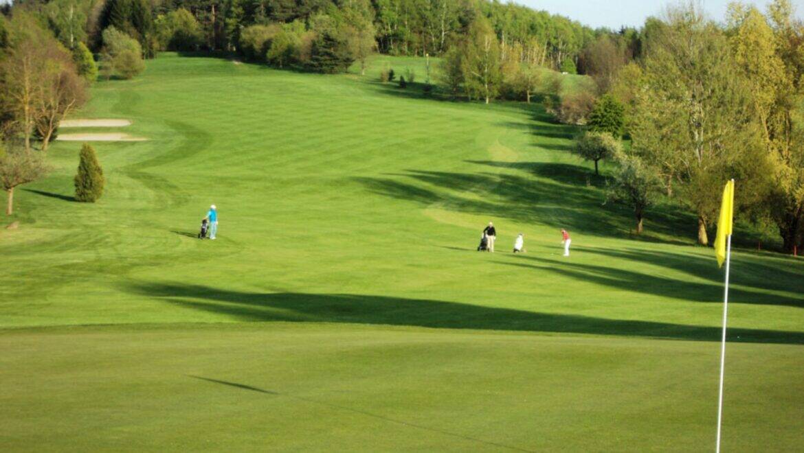 Angebot Hotel Wutzschleife Pfoten Zertifiziertes Hundehotel