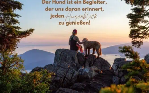 Eine Frau sitzt mit Hund auf einem Felsvorsprung und sieht sie sehen sich gemeinsam den Sonnenuntergang an