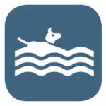 Schwimmgelegenheit für Hunde vorhanden