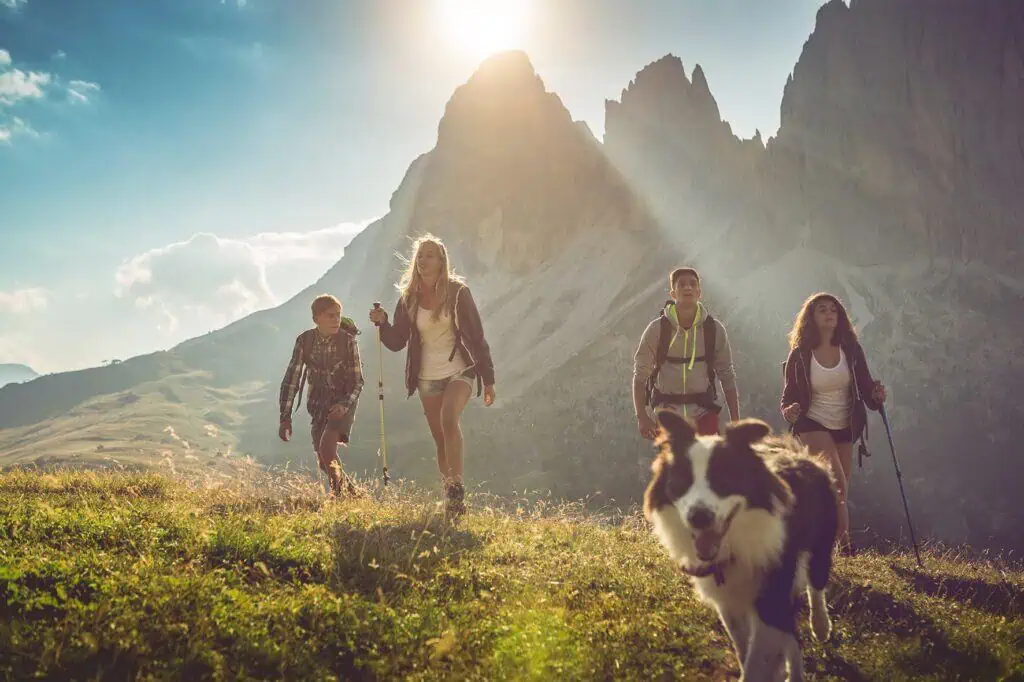 Wander-Inspiration für den Urlaub mit Hund