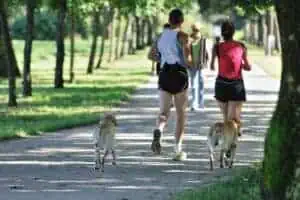 pfotencheck.com | Aktivurlaub mit Hund