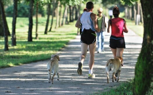 pfotencheck.com | Aktivurlaub mit Hund