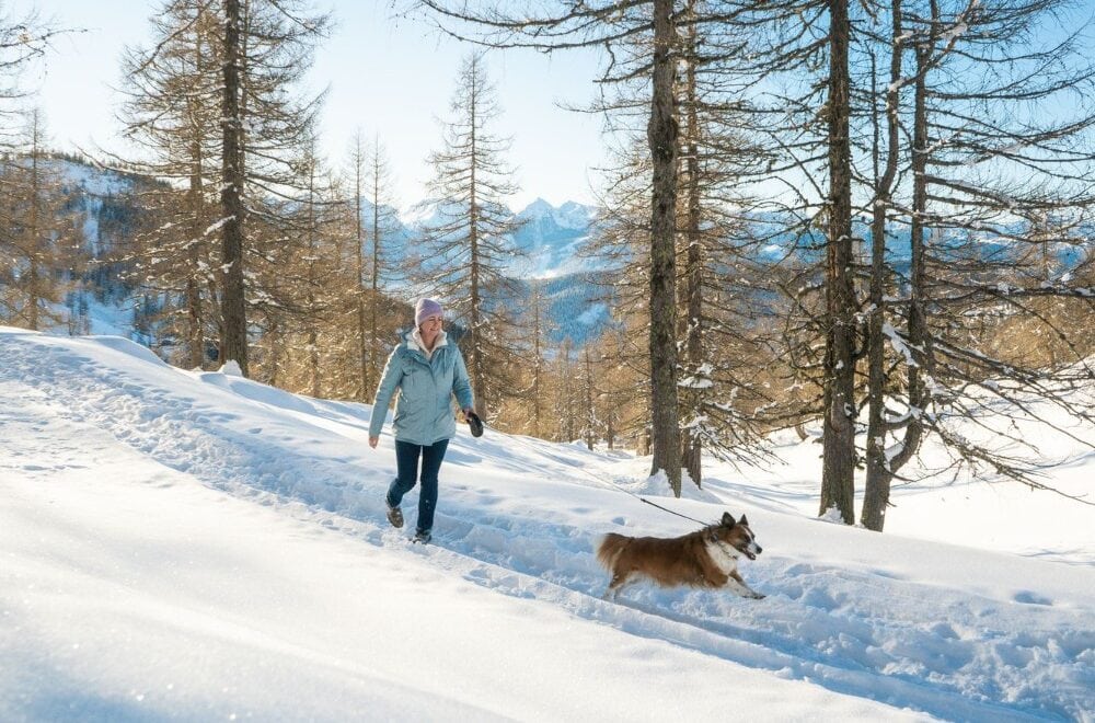 zertifiziert hundefreundliches Hotel Almfrieden in der Steiermark mit eigenem Hundeangebot, ruhiger Lage und direktem Zugang zu Spazierwegen