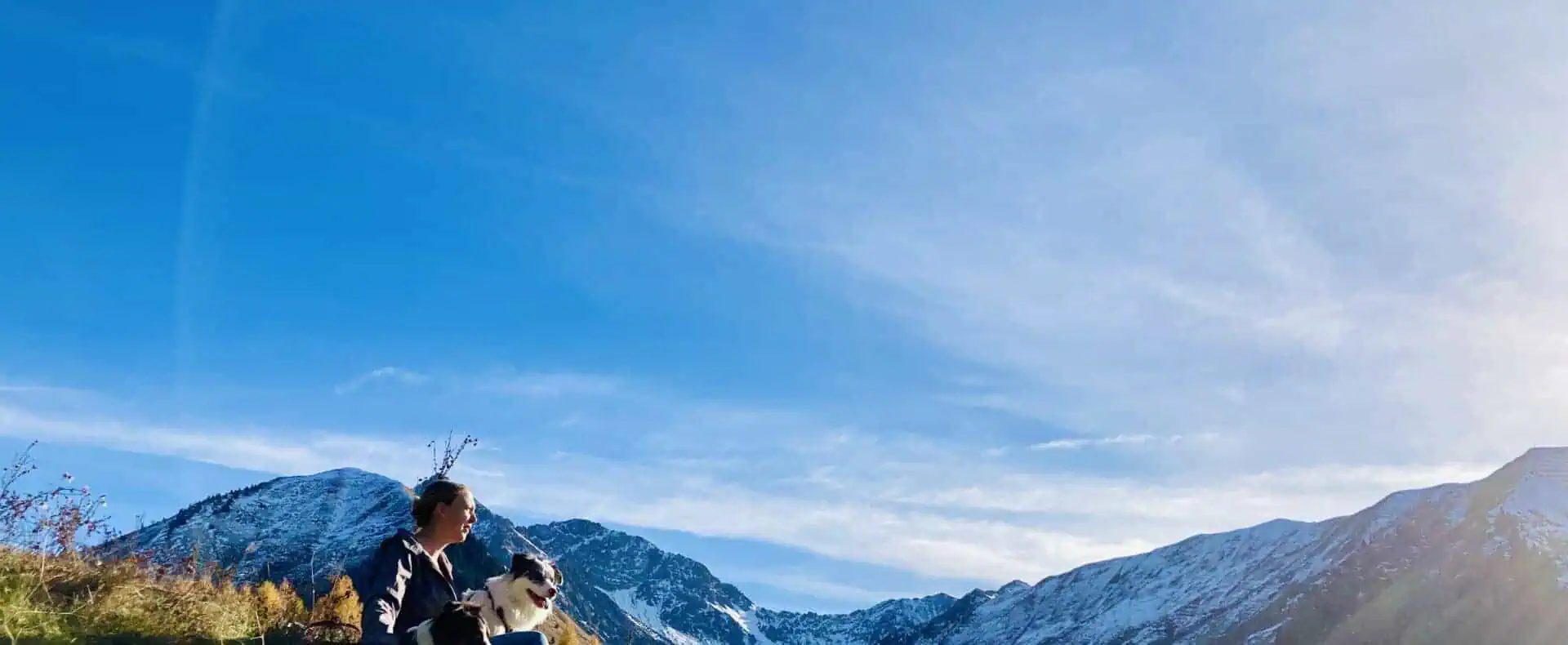 Urlaub mit Hund im Bärenappartements und Wiesenhof / zertifiziert hundefreundliche Appartements im Bärenappartement und Wiesenhof in Tirol