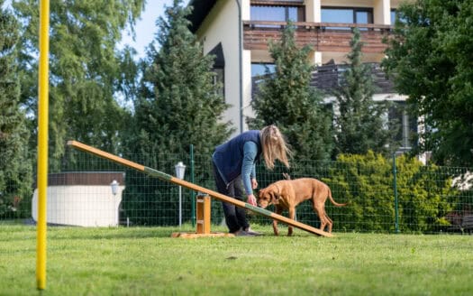 Angebot Der Wolfshof: Hundegesundheitstage im Harz