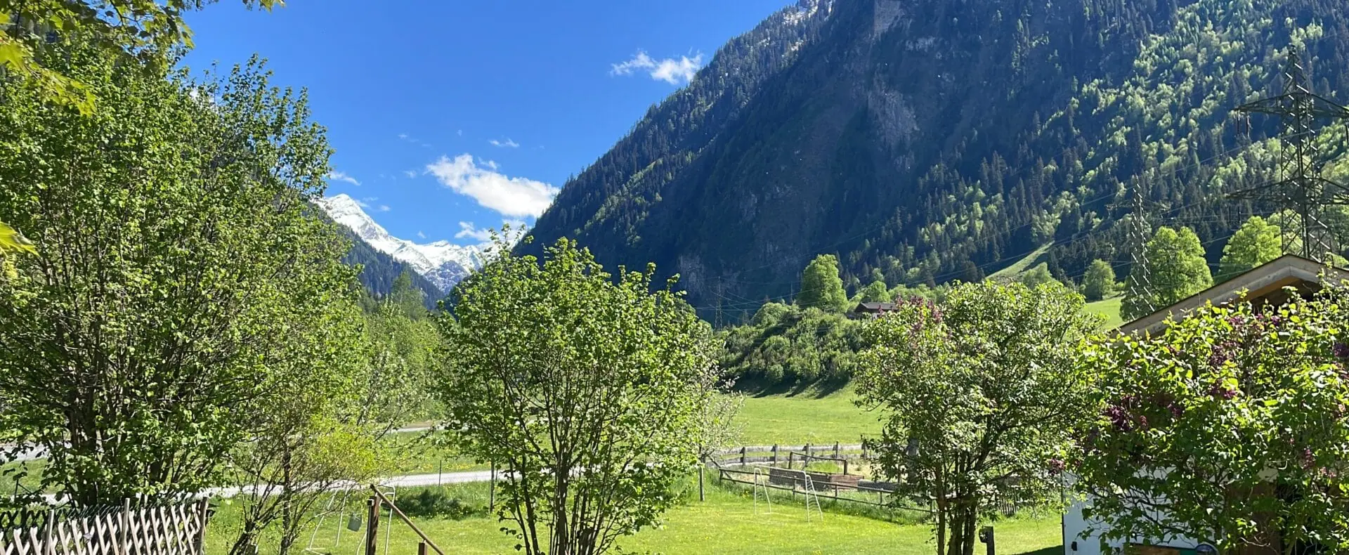 Urlaub mit Hund im Apenhaus Denver in Salzburg / zertifiziert hundefreundliche Appartements in Österreich /