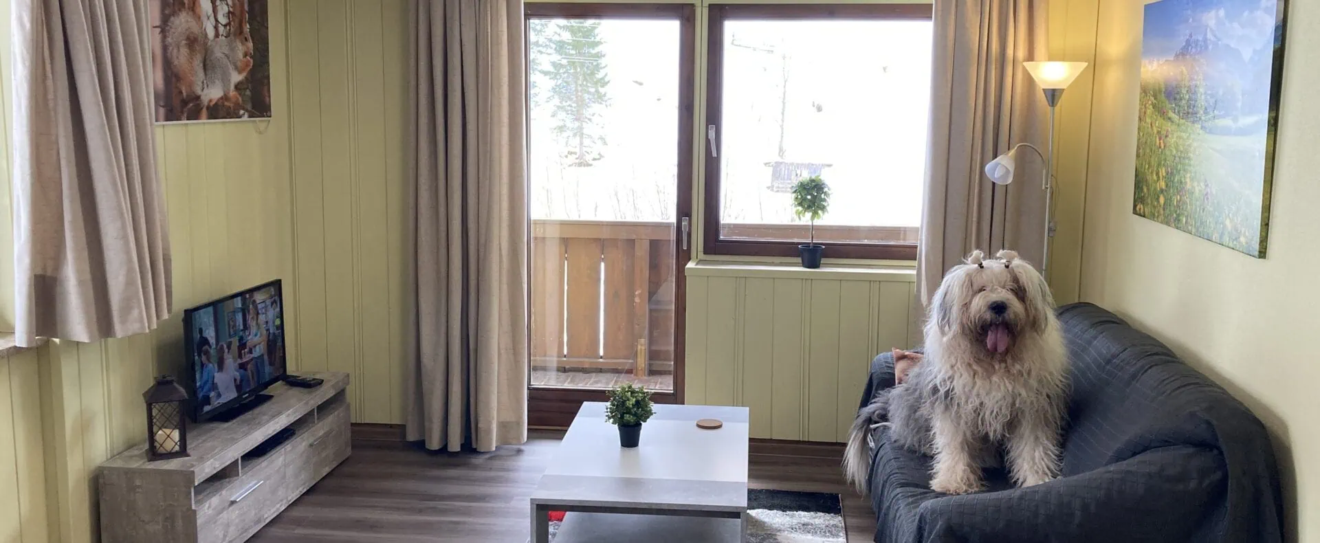 Urlaub mit Hund im Apenhaus Denver in Salzburg / zertifiziert hundefreundliche Appartements in Österreich /