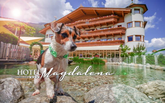 Angebot: Wellness auf 4 Pfoten im Gartenhotel Magdalena
