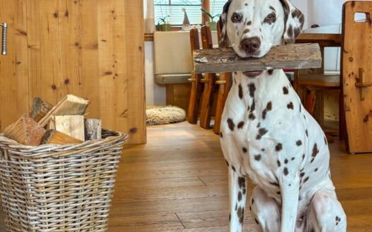 Last-Minute-Angebot -10% für Kurzentschlossene: Birnbaum Chalets in den Salzburger Bergen