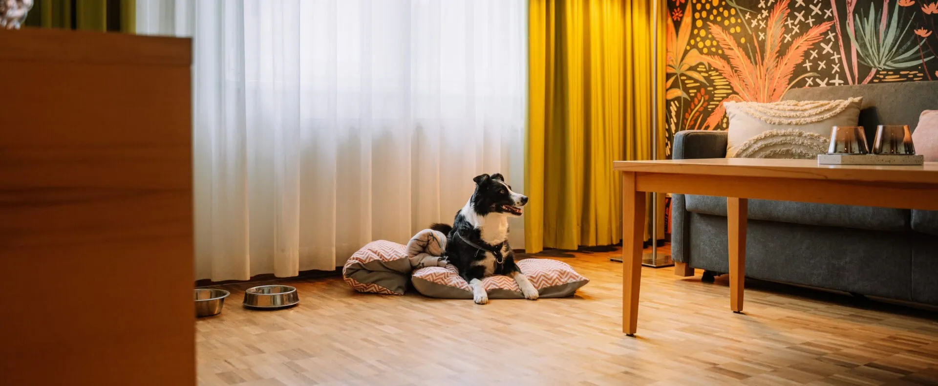 Hund entspannt in einem Zimmer des Auszeit Hotels St. Lambrecht, das Urlaub mit Hund in der Steiermark ermöglicht.