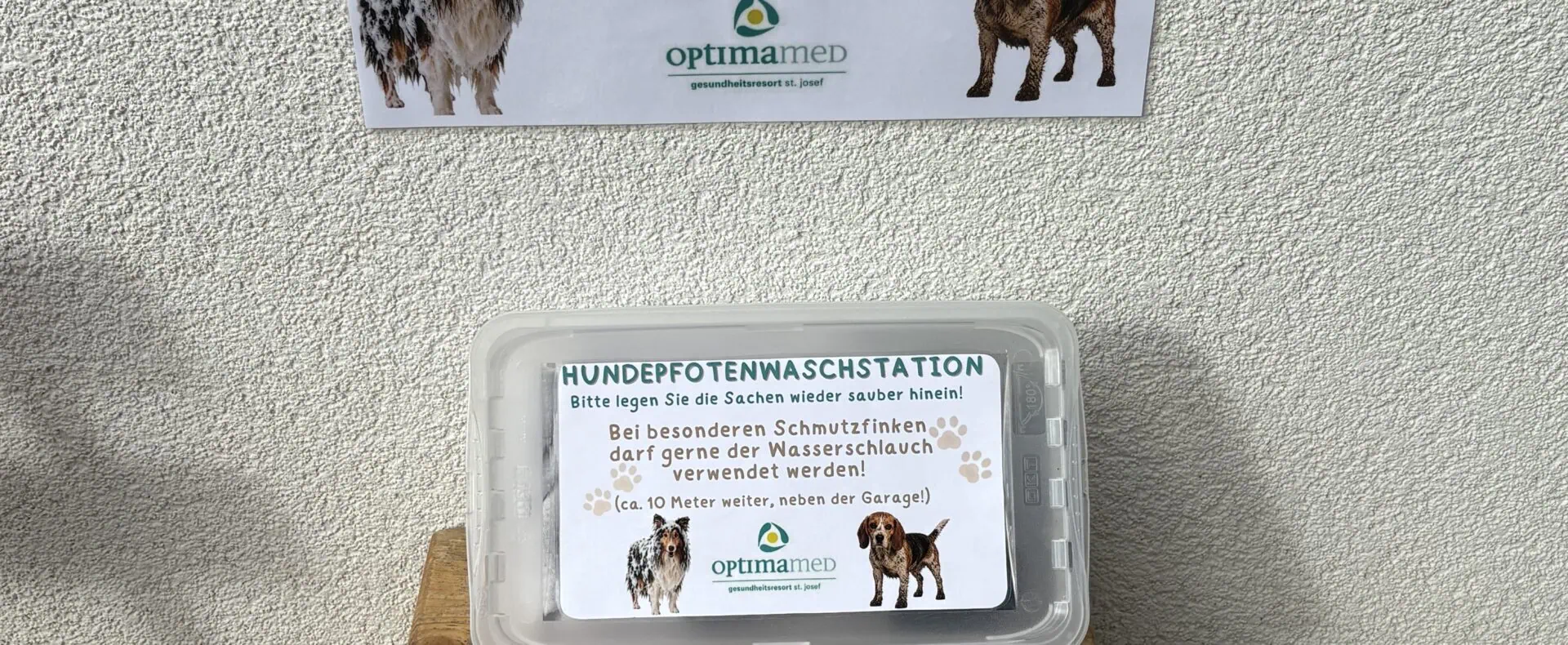 Urlaub mit Hund im Gesundheitsresort Optimamed St. Josef in Salzburg / zertifiziert hundefreundliches Hotel in Österreich