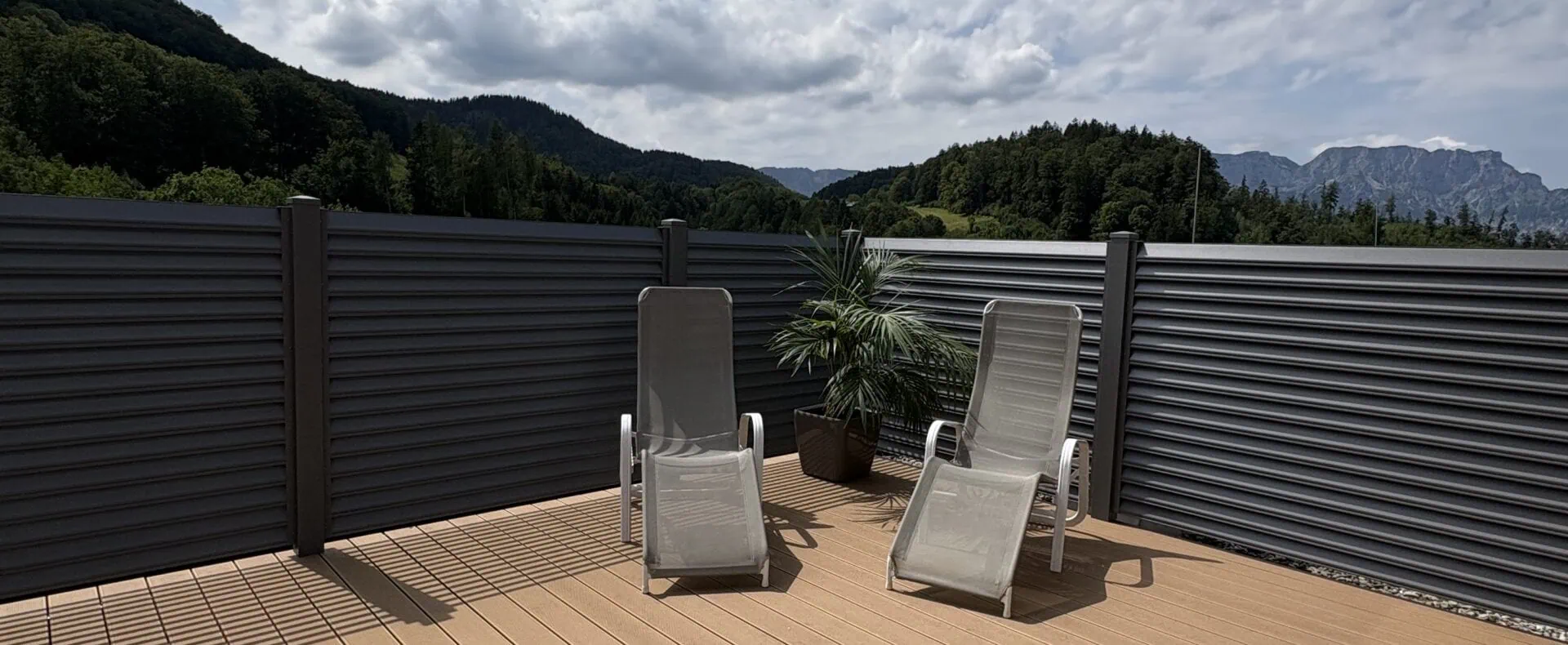 Urlaub mit Hund im Gesundheitsresort Optimamed St. Josef in Salzburg / zertifiziert hundefreundliches Hotel in Österreich